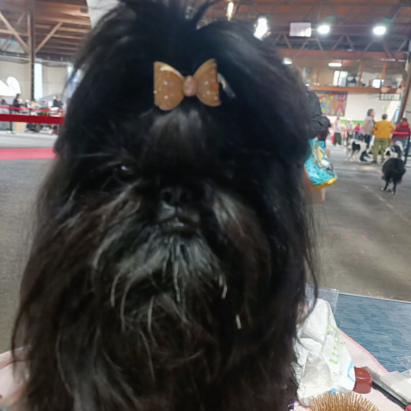 Innocence Love  sweet addict